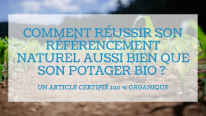 Read more about the article Comment réussir son référencement naturel ?